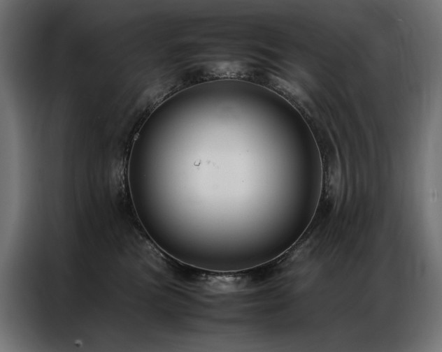 X0000086890473200704161252