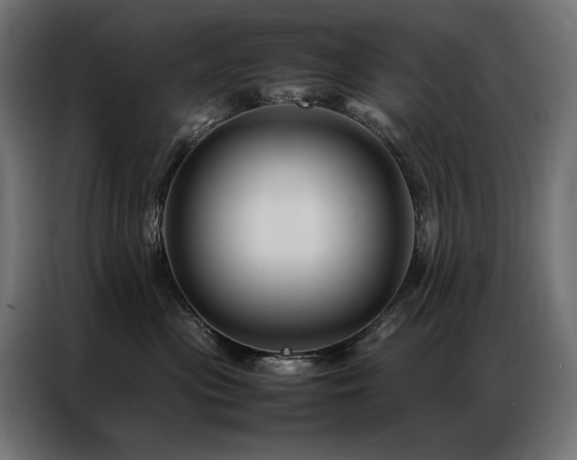 X0000086890477200704161253