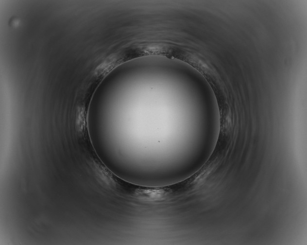 X0000086890478200704161253