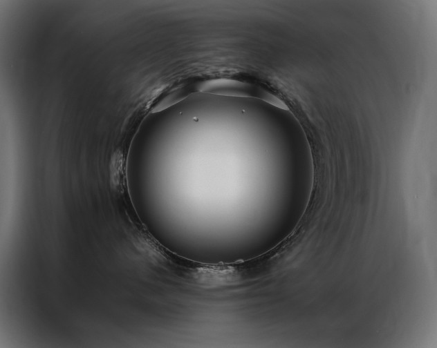 X0000086890480200704161253