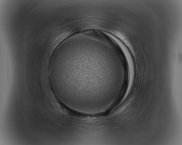 X0000086890481200704161252