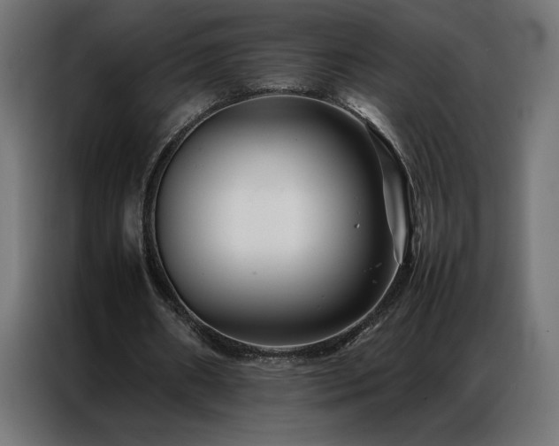 X0000086890482200704161252