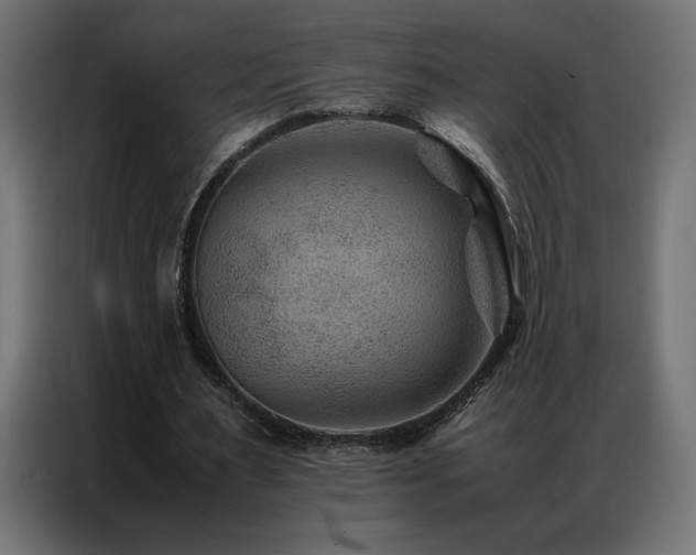 X0000086890483200704161252