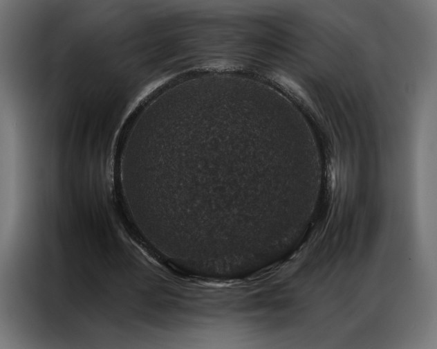 X0000086890484200704161252