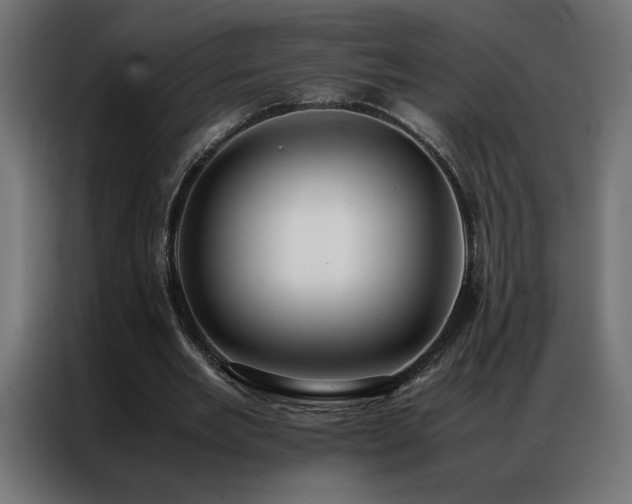 X0000086890485200704161252