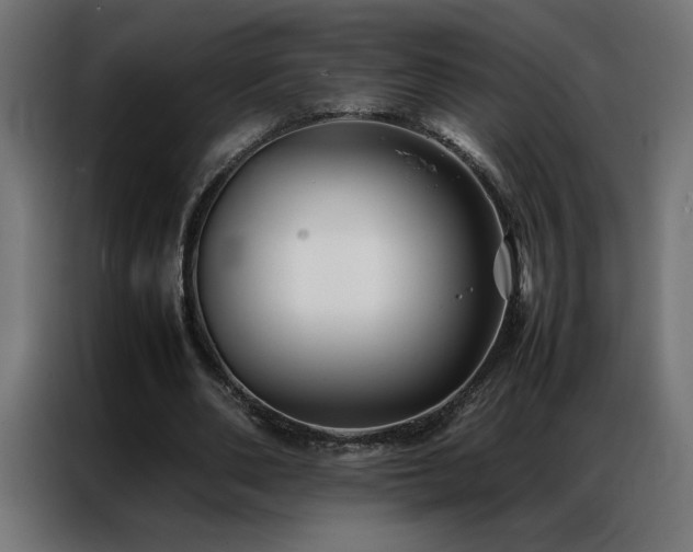 X0000086890486200704161252