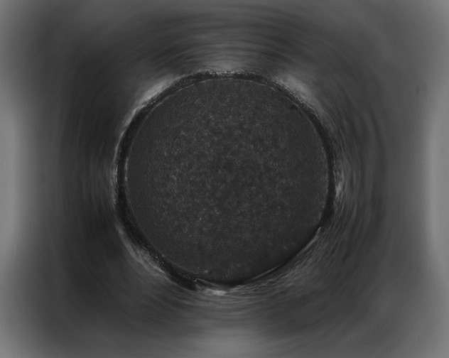 X0000086890488200704161252