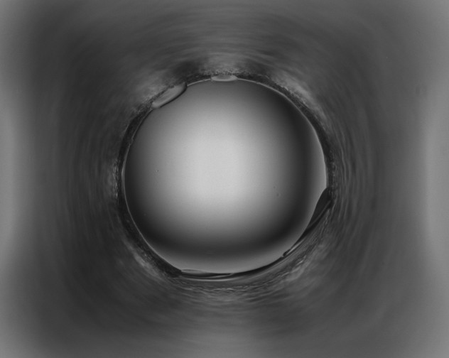 X0000086890489200704161252