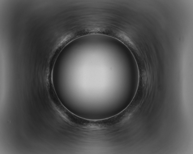 X0000086890490200704161252