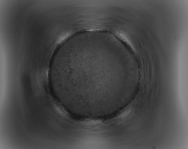 X0000086890491200704161252