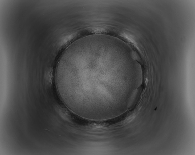 X0000086890495200704161251