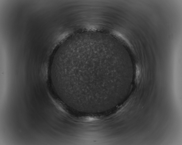 X0000086890496200704161251