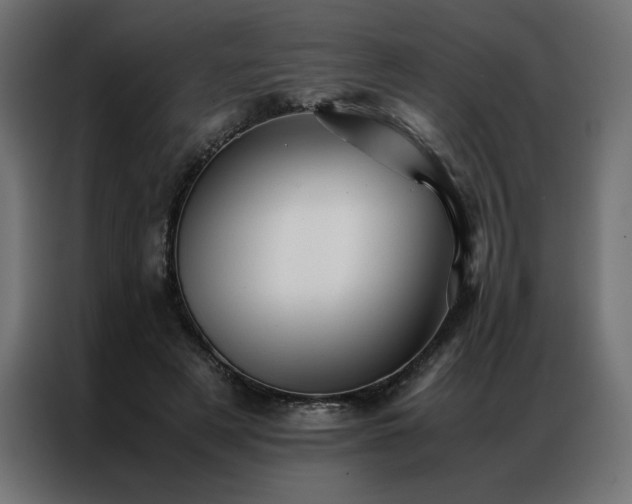 X0000086890497200704161251