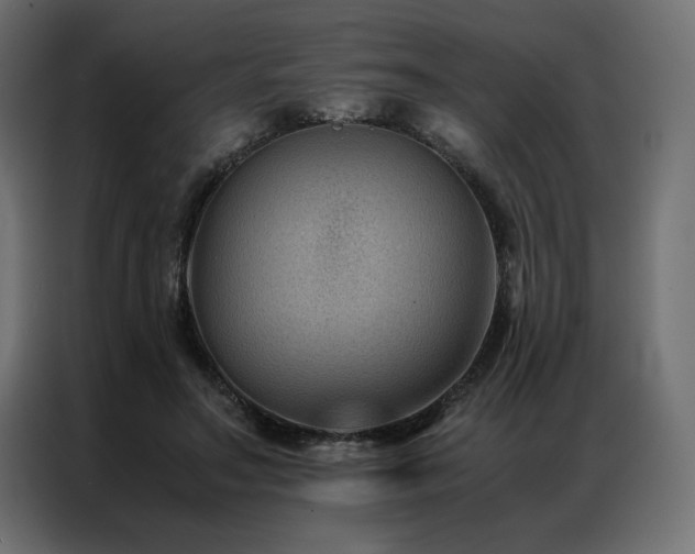 X0000086890499200704161251