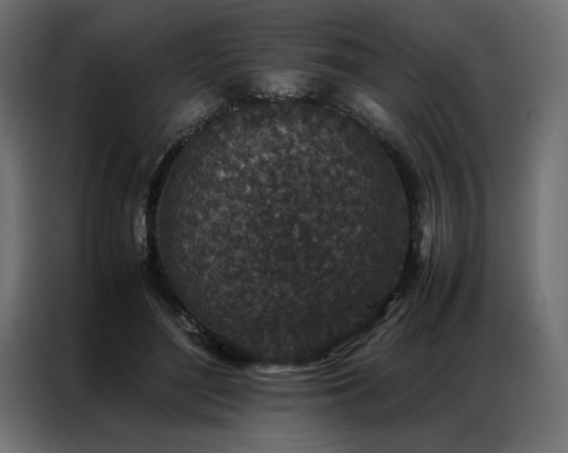 X0000086890500200704161251