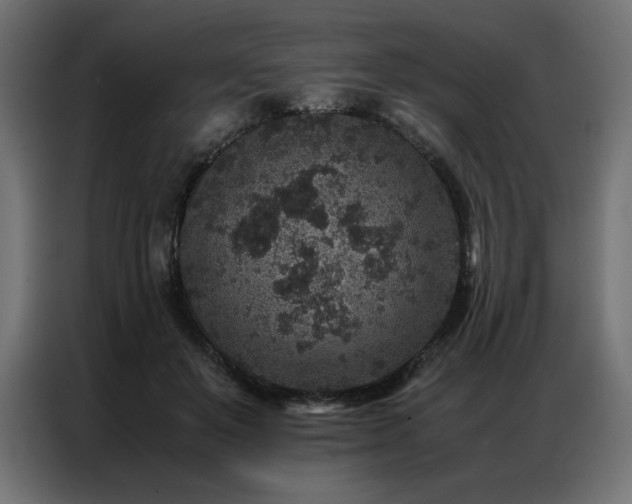 X0000086890503200704161251