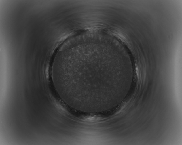 X0000086890504200704161251