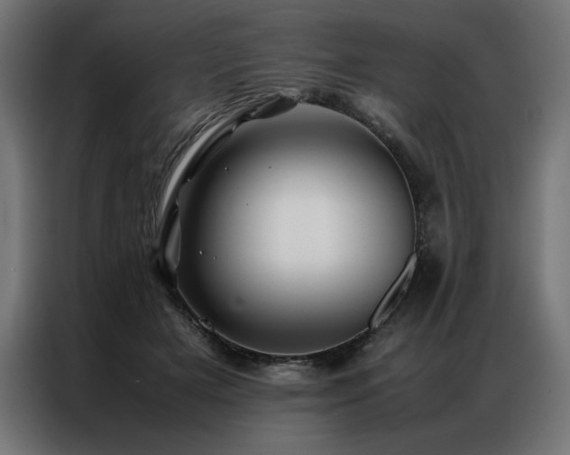 X0000086890505200704161251