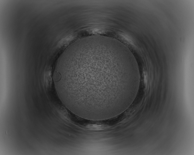 X0000086890506200704161251