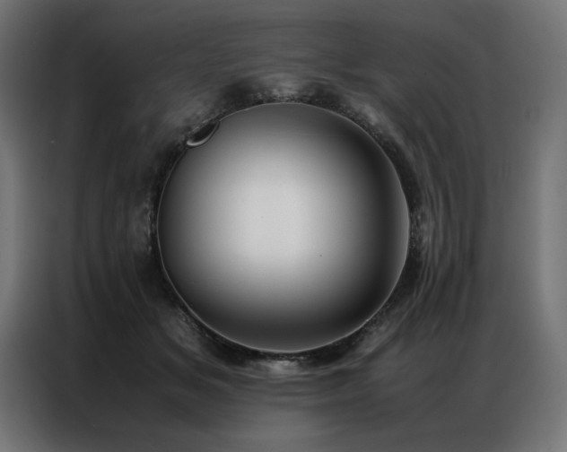 X0000086890509200704161251