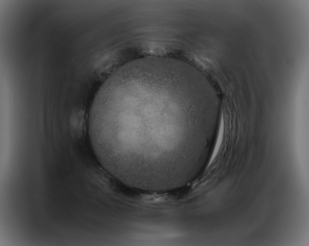 X0000086890511200704161251