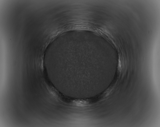 X0000086890512200704161251