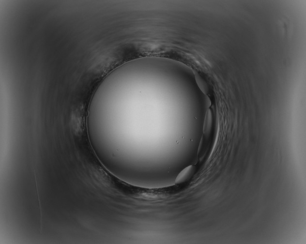 X0000086890515200704161251