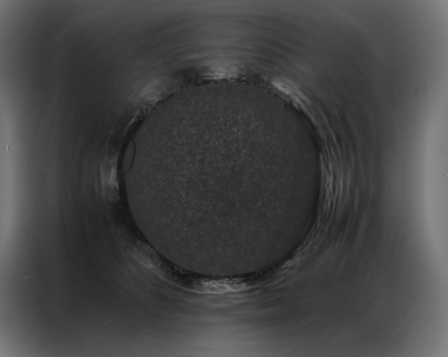 X0000086890516200704161251