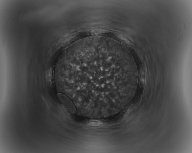 X0000086890519200704161251