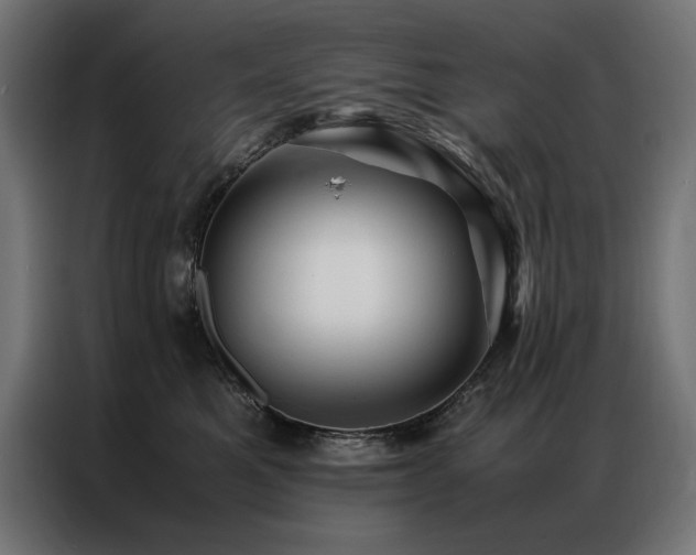 X0000086890521200704161251