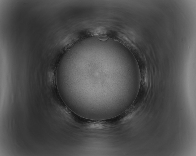 X0000086890523200704161251