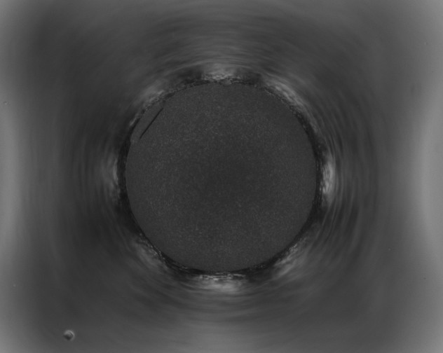 X0000086890524200704161251