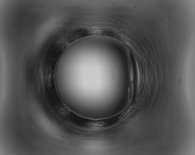 X0000086890525200704161251