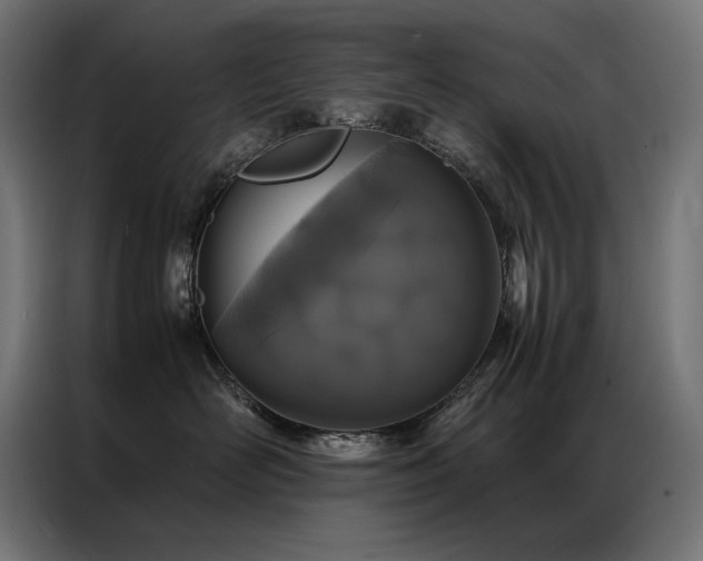 X0000086890526200704161251