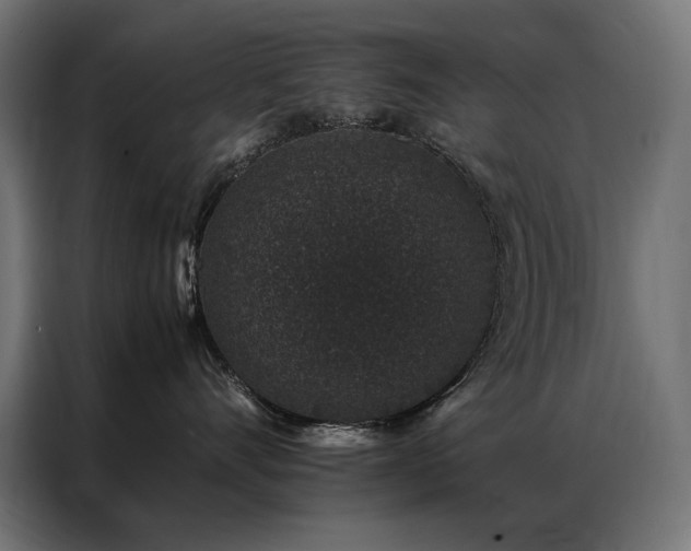 X0000086890528200704161251