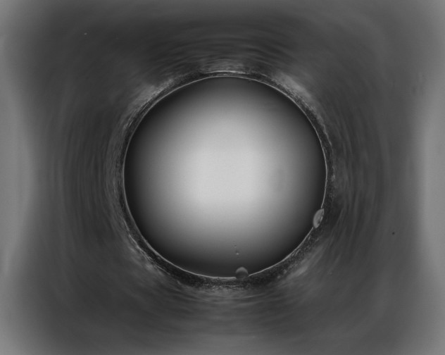 X0000086890529200704161250