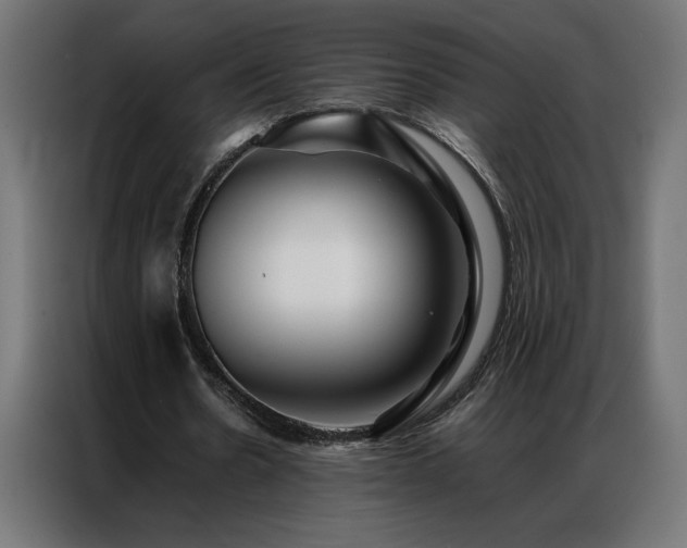 X0000086890530200704161250