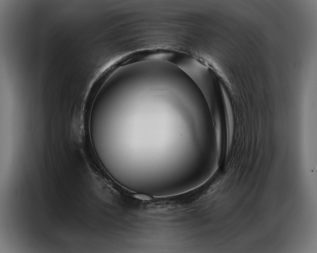 X0000086890532200704161250