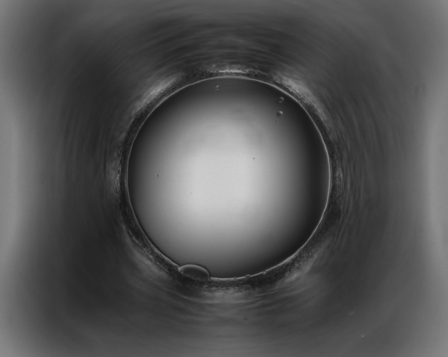 X0000086890533200704161250