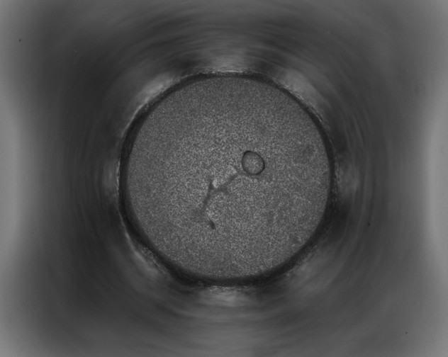 X0000086890534200704161250