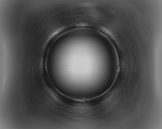 X0000086890535200704161250