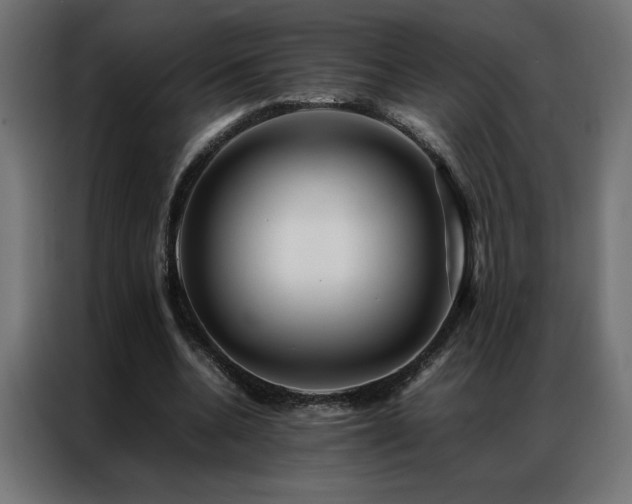 X0000086890536200704161250