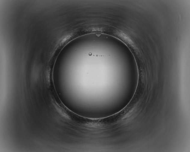 X0000086890537200704161250