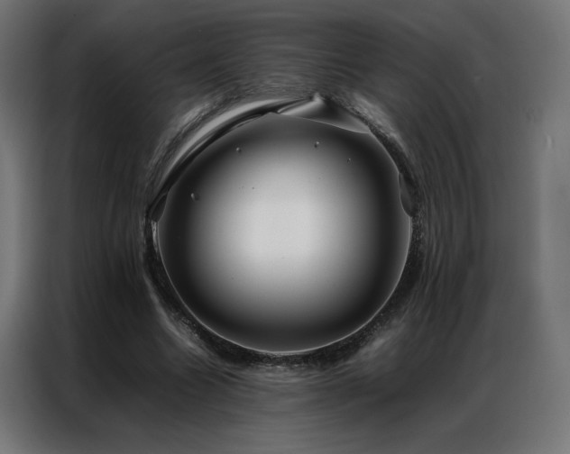 X0000086890538200704161250