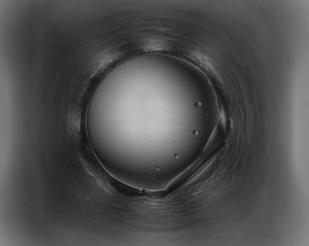 X0000086890539200704161250