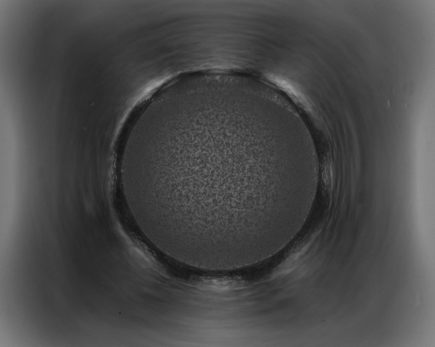 X0000086890540200704161250