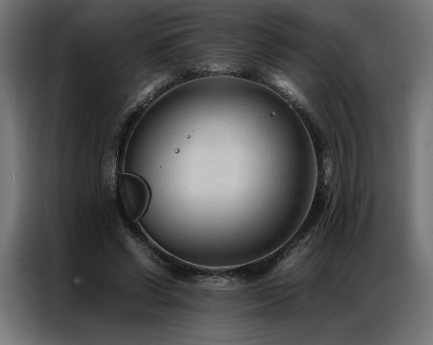 X0000086890542200704161250