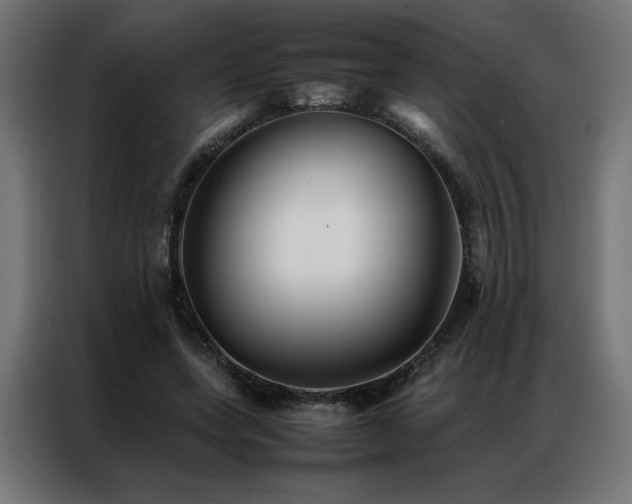 X0000086890543200704161250