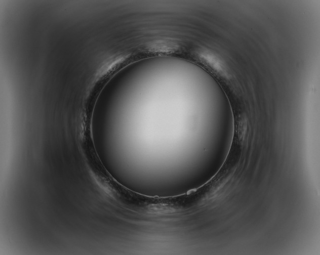 X0000086890544200704161250