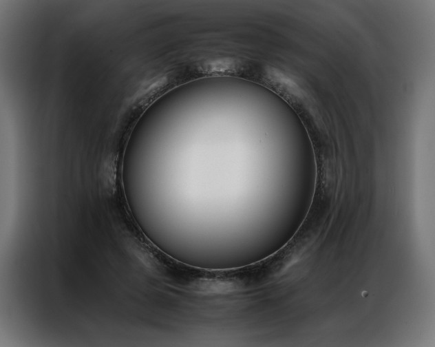 X0000086890545200704161250